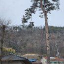 성수면사무소 이미지