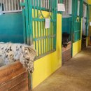 라하농장 이미지