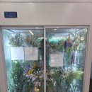 (주)꽃사세요