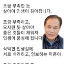 오늘의 명언, 정말, 좋은 말입니다, 이미지