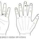 고려수지침요법학회 이미지