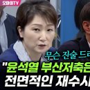 이언주, 윤석열 부산저축은행 부실 수사 이미지