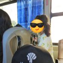 타조투어 | 나트랑 양베이폭포 투어 후기｜베나자 통해 다녀온 하루 코스 추천 🌿💦 (내돈내산)
