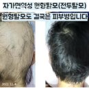 하늘나무한의원 이미지