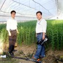 인재농장 이미지