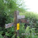 기룡산 등산로2 이미지