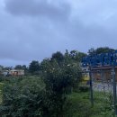 삼막골카라반펜션 이미지