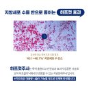 대전하프의원 이미지