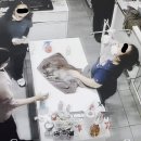 청원동물병원 이미지