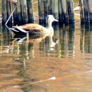 빛가람 호수공원 이미지