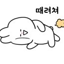 대하실내골프연습장 이미지