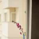 플라워봄 이미지