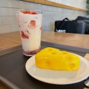 씨제이올리브영(주) 건대커먼그라운드점 | po덕질wer과 예쁜 카페 탐방하고 더 현대 서울 가고 커먼 그라운드 간 로그