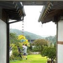 달에게 빌려온 하루 이미지