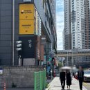 서면 돼지국밥 맛집 안목 미쉐린 가이드 선정 국밥집 후기