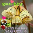 날마다좋은날 이미지