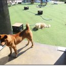 너와함개냥 이미지