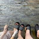 지리산하늘과바람과별과개 이미지