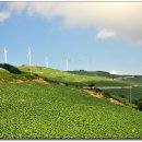 매봉산 바람의언덕 이미지