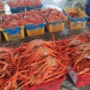 묵호어판장 이미지