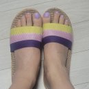 금동살롱 | 6월 22일~26일까지 일상 왕골슬리퍼 후기 케이팝데몬헌터스 국중박 뮷즈