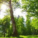 호텔띠아모 이미지