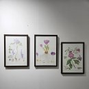 보태니컬아트 이미지