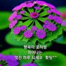 경전철 회룡역 이미지