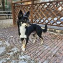 니멍내멍 이미지