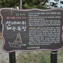 인천 영종도 선녀바위 둘레길 트레킹 #2 이미지