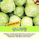 축령산건강원