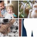 세아치과의원 | 미래 치과, 합리적 치아 관리, 아름다운 턱선 스마트 건강 비법