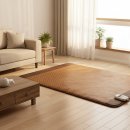 몸에좋은의료기 | 한일의료기 전기장판 거실용 황토참숯 후기