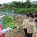 혜성유치원 이미지