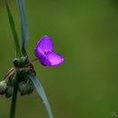 성남시립식물원 이미지