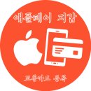 일본 교통카드 애플페이 등록::장단점 잔액이전 충전 등