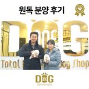 코몽 애견샵 | 대전애견샵 가정견분양후기, 가족분들을 소개해요