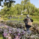 용산종합시장 | 서울 데이트 가볼 만한 곳 용산 가족공원 놀이터에서 피크닉 + 주차장 맛집