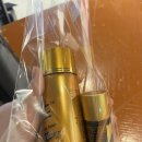 광주110 | [서울갈매기] 롯데vs기아 광주기아챔피언스필드 원정 직관 후기 (1루 K8존 110블록 23열, 다정식당 오리...