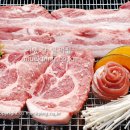 산청승마장 | 이벤트 / 예쁜 지리산펜션에서 야외 바베큐파티와 구례승마장 승마체험, 구례맛집 탐방 등 신나는 봄나들이