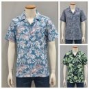 크로커다일 카카오 검색결과