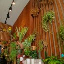 더블라썸플라워샵 이미지