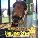 지에스25 일원스타점 | 대전아기랑갈만한곳 대전 동물 카페 애니멀스타 솔직후기