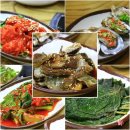 고흥바다장어 이미지