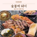돌하우스 울산병영점 | 울산 중구 병영 맛집 숯불에돼지 제주산 삼겹살 고기집 찐맛집