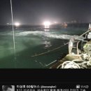 [세월호]'다이빙 벨' 구조현장서 자진 철수 이미지