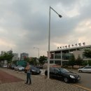 모이세홍두깨손칼국수