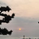 역골로49번길 | 26년 1월 두번째 일상기록 - 강릉여행 닭강정 수제고로케 해돋이, 평창송어축제 등