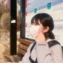 해봄붙임머리 이미지