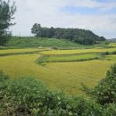 팽성레포츠공원 실내체육관 이미지